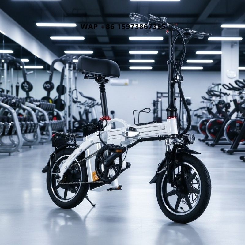 Mini Folding Electric Bike Fac - Commuting With Bike 评论和价格